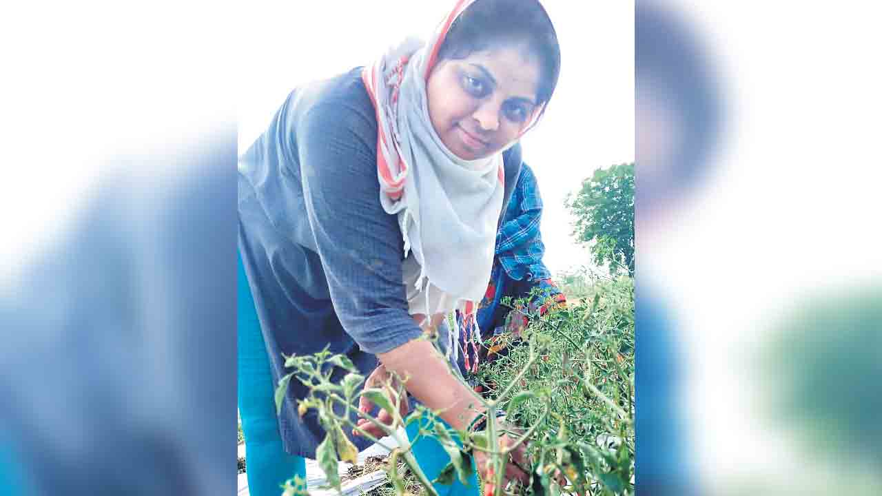 Sridevi |  ఎంకామ్‌ చదివి.. సేద్యం వైపు.. మల్చింగ్‌ విధానంలో కూరగాయలు సాగుచేస్తున్న శ్రీదేవి