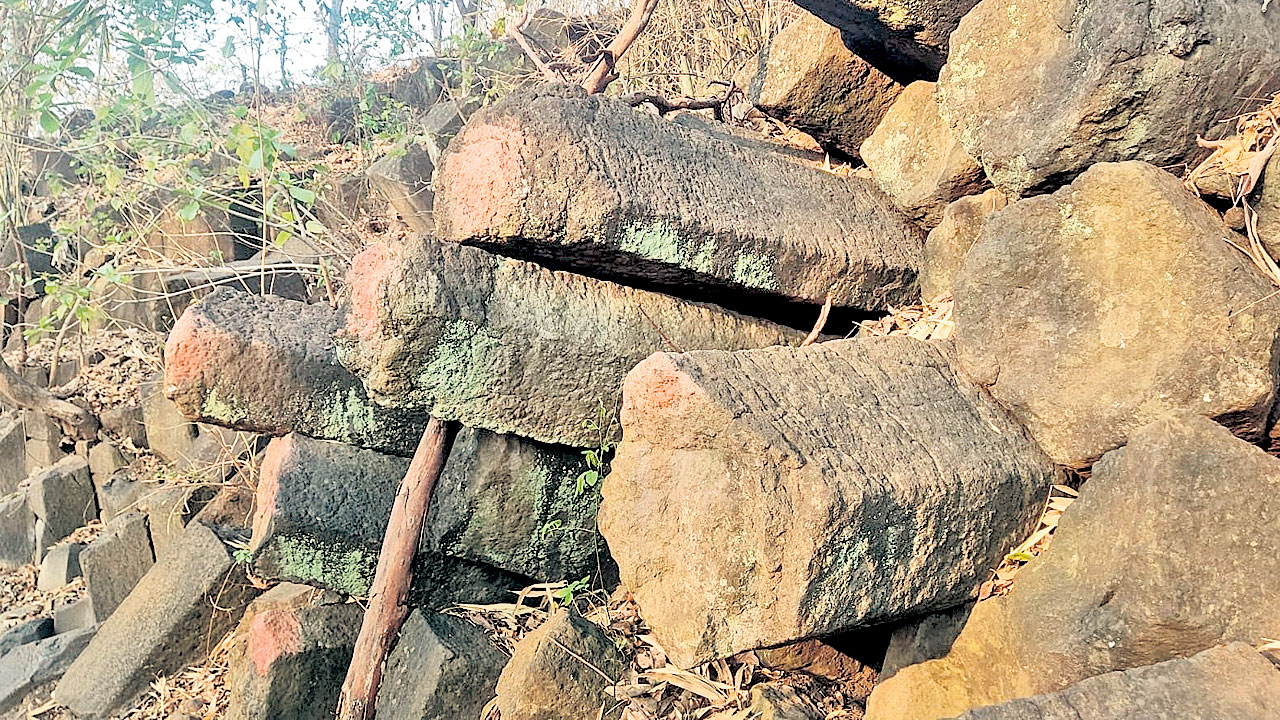 అడవుల్లో లావా రాతి స్తంభాలు