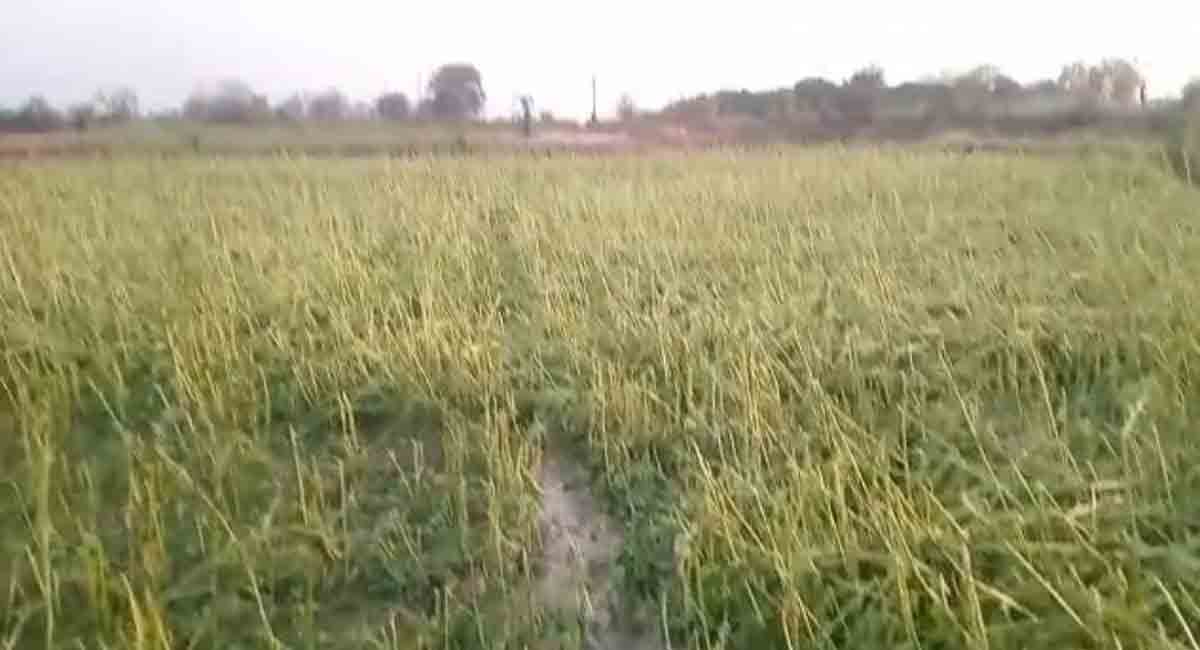 ఈదురుగాలులు.. రాళ్లవాన