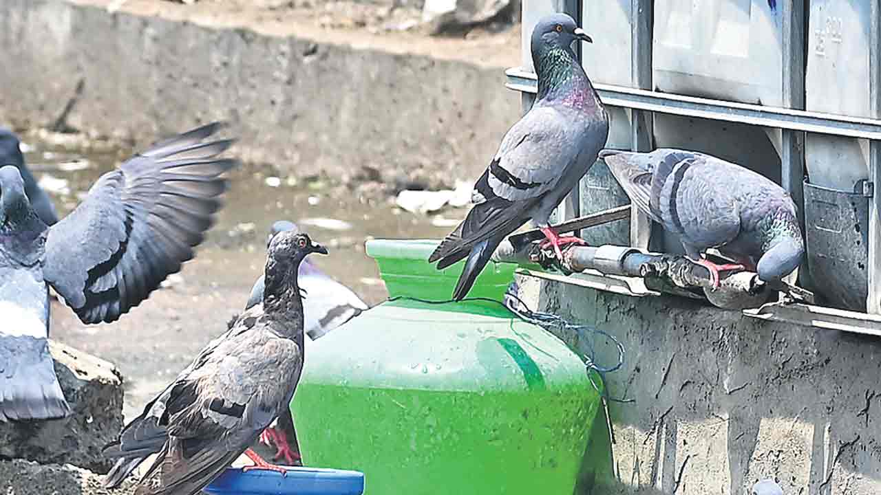 Temperature |  మున్ముందు నిప్పుల కుంపటే.. దేశంలో ఏటా 5 శాతం పెరిగిపోతున్న ఉష్ణోగ్రతలు