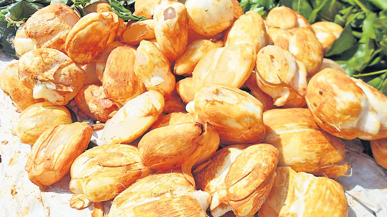 Ice apple |  విటమిన్స్‌ అందించే ఐస్‌ ఆపిల్‌.. మండుటెండల్లో తాటి ముంజలతో ఉపశమనం