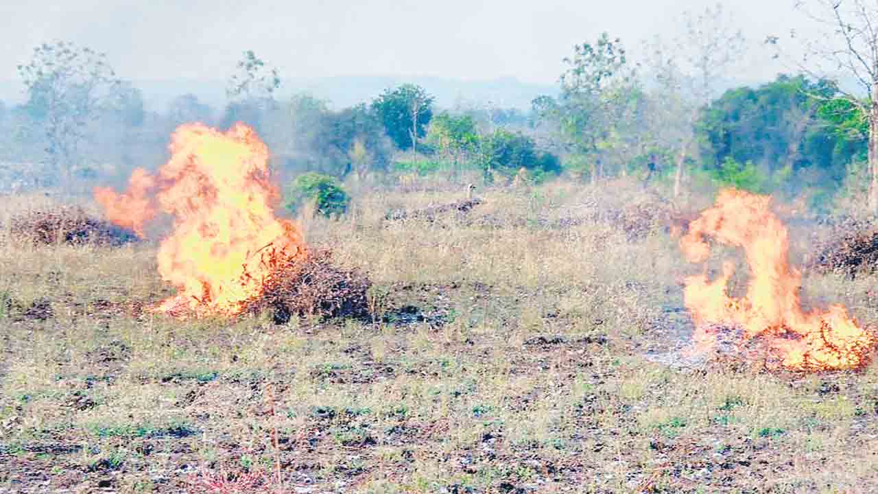 సాగుకు సన్నద్ధం