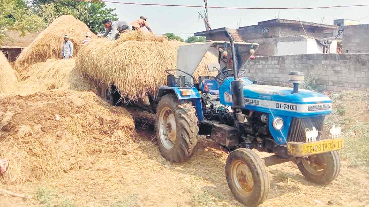 మేత.. తినేంత!