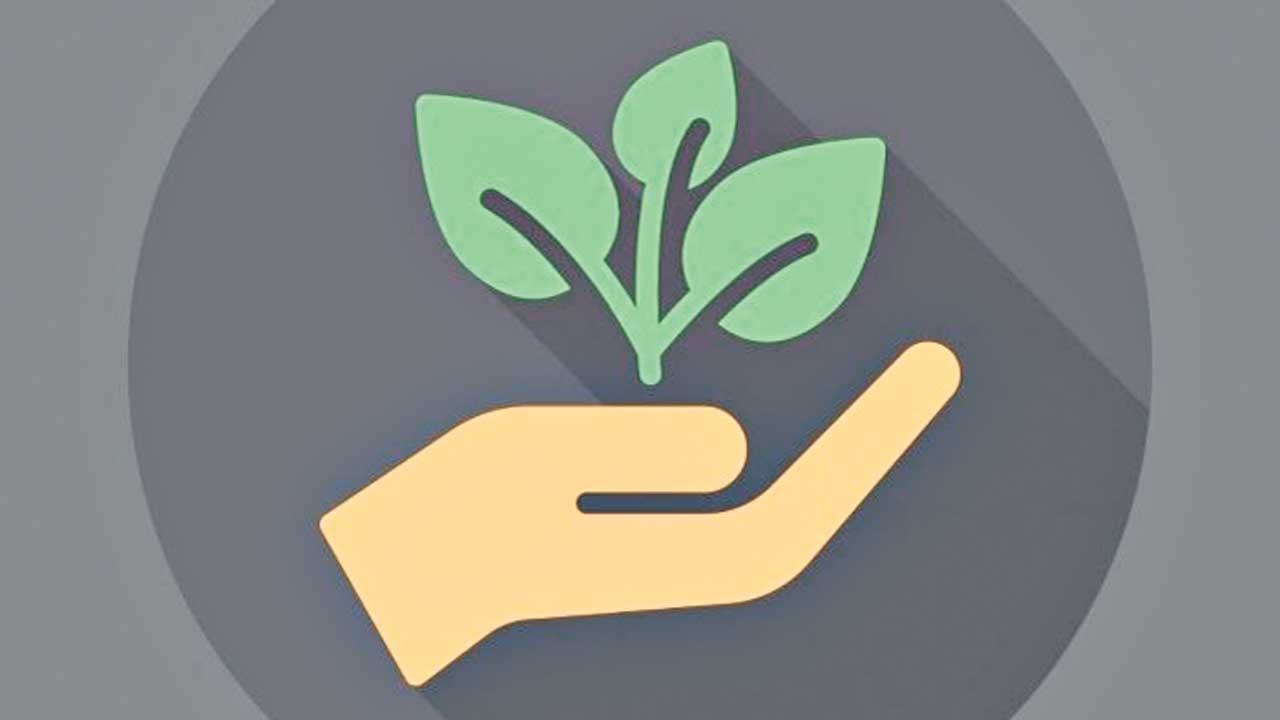 మొలకెత్తే పాత్రలు!