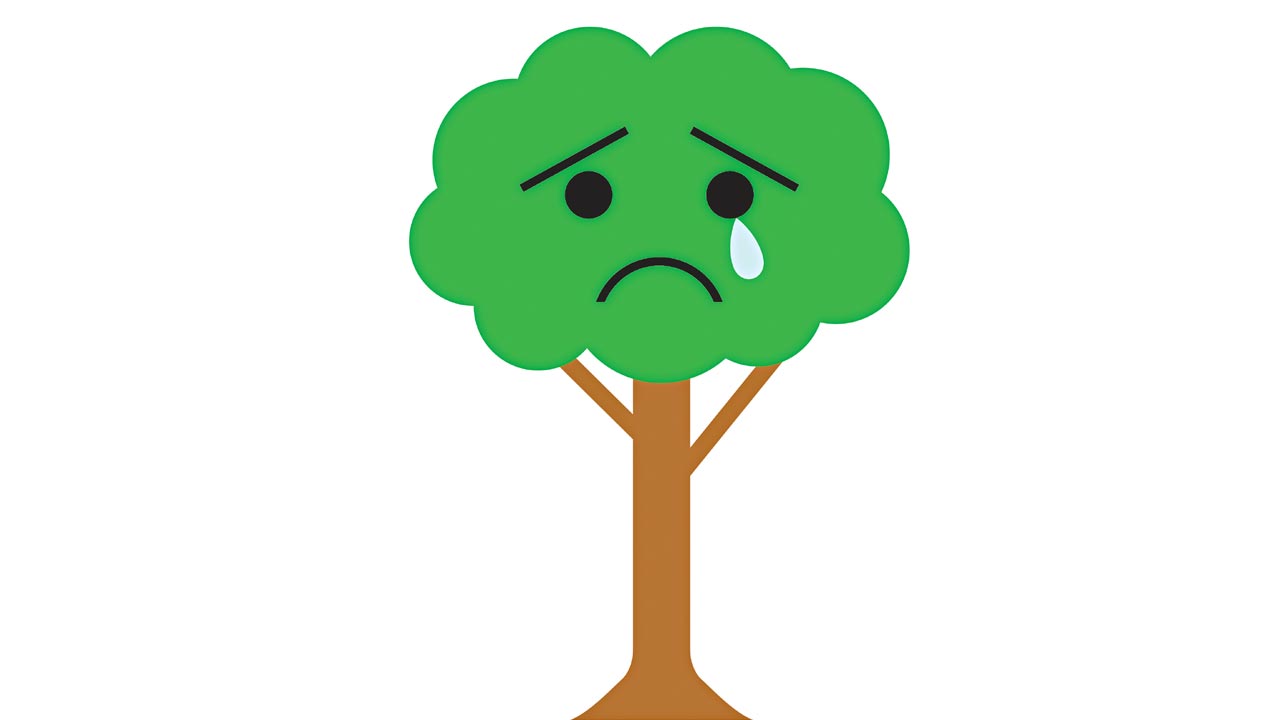 మొక్కలూ ఏడుస్తాయి