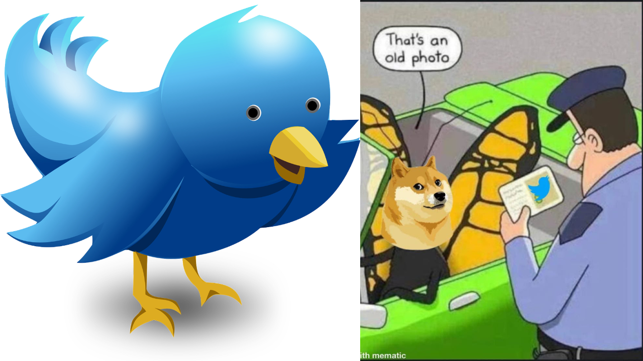 Twitter Logo | ట్విట్టర్‌ పిట్ట ఎగిరిపోయింది.. బ్లూబర్డ్‌ ప్లేస్‌లోకి వచ్చేసిన డాగ్‌ మీమ్‌