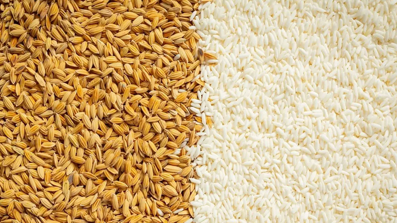 బియ్యం, గోధుమలు తినడం వల్ల మధుమేహం!
