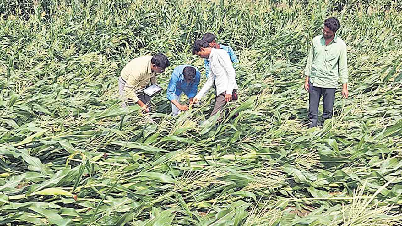 అన్నదాతకు అండగా సర్కారు సాయం