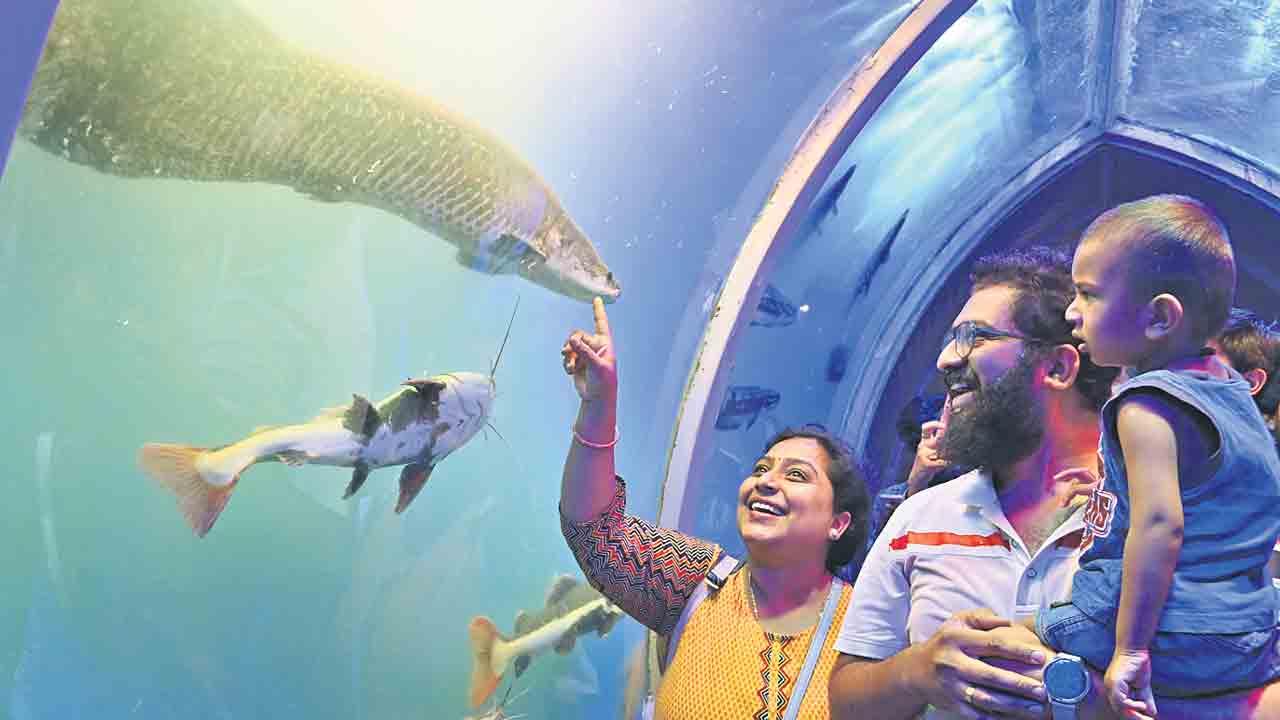 సాగర్‌ చెంత.. సముద్రపు వింత