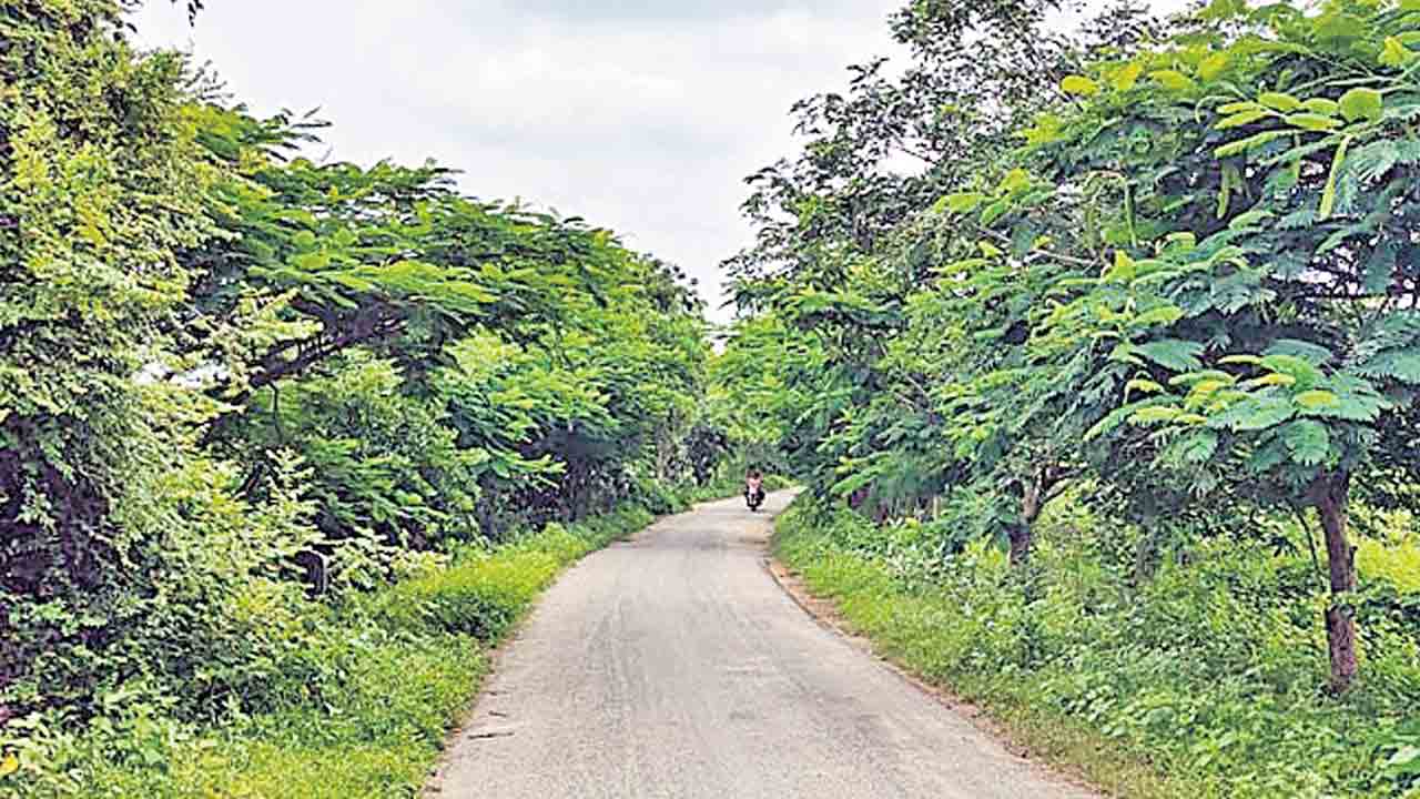 ప్ర‌కృతి ర‌మ‌ణీయత‌