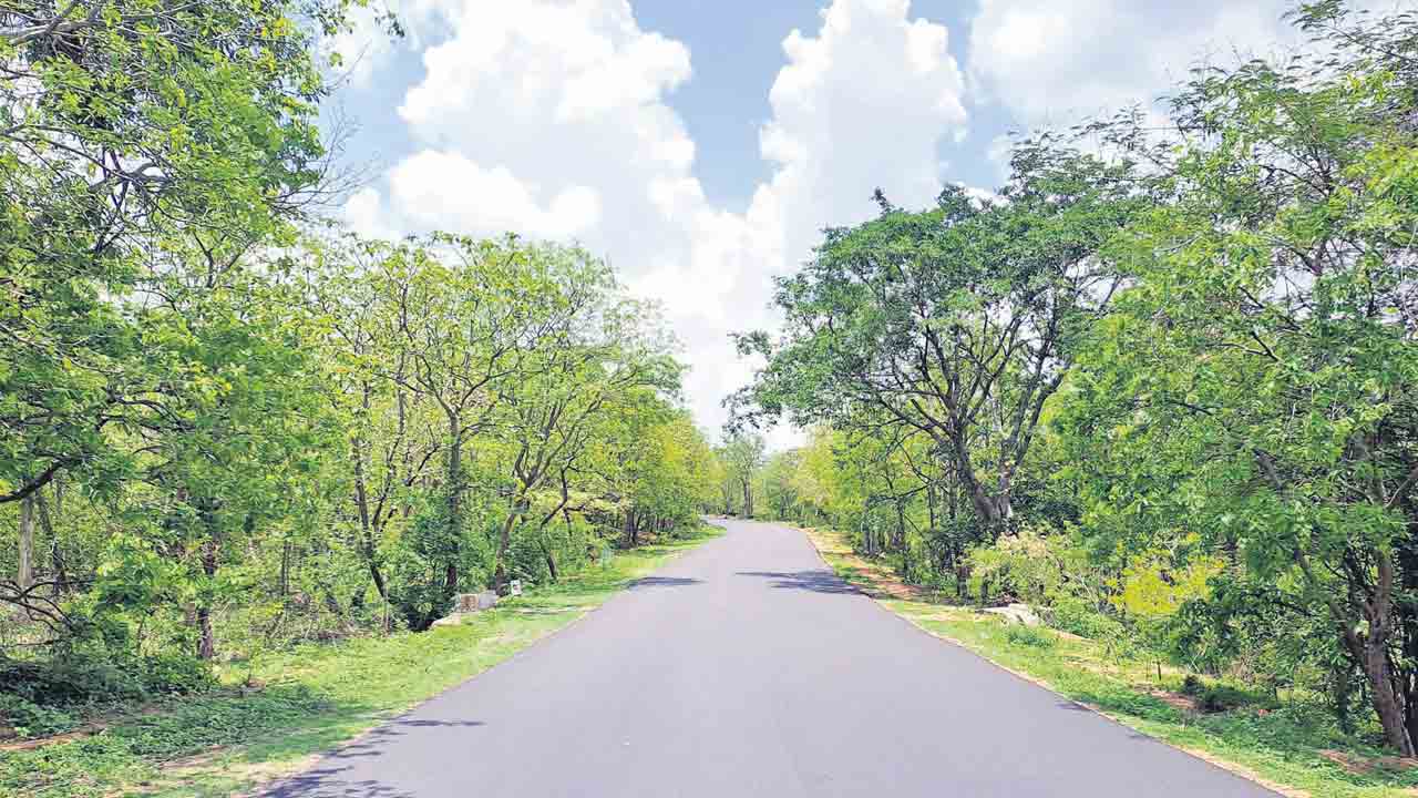 నట్టెండలో ప్రకృతి రమణీయం