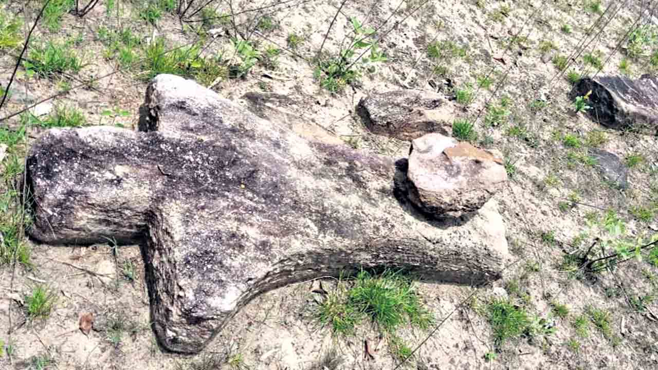 మానవరూప స్మారక శిలల గుర్తింపు