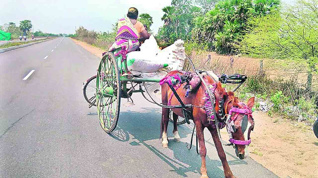 బ‌తుకు జట్కా బండి