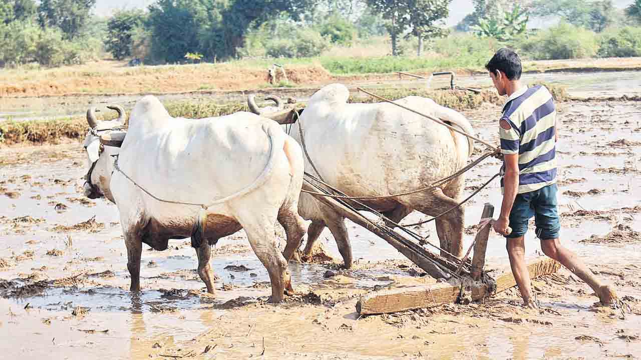 ‘రోహిణి’ వచ్చేసింది..