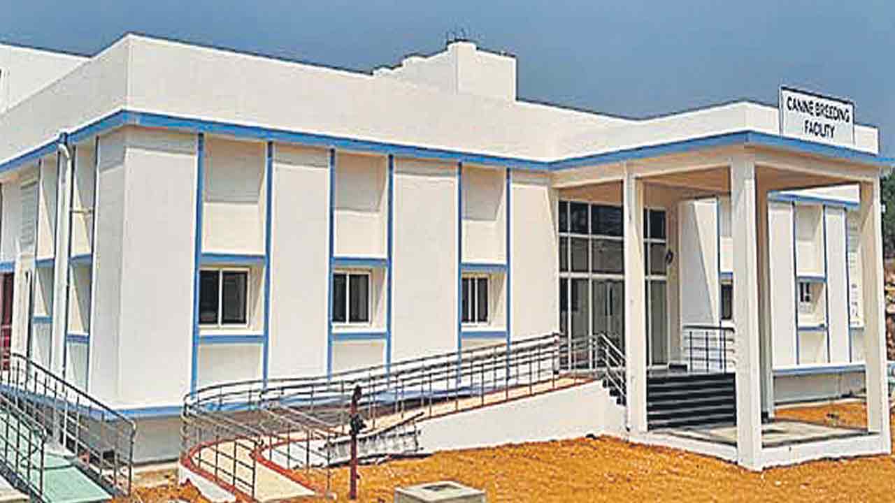 ఐసీఎంఆర్‌లో షేరింగ్‌ ఫెసిలిటీ