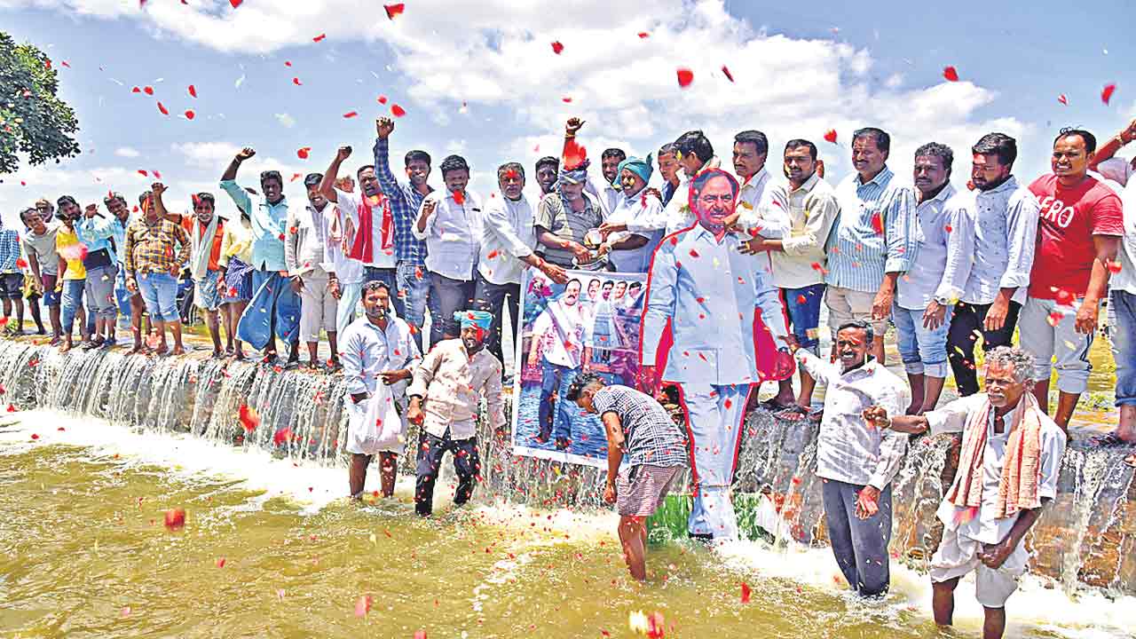 వేయిరేకుల గులాబి