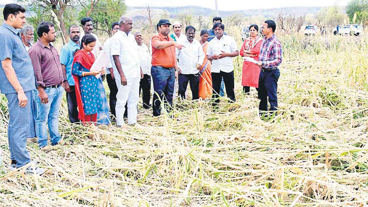 నష్టపోయిన రైతులను ఆదుకుంటాం