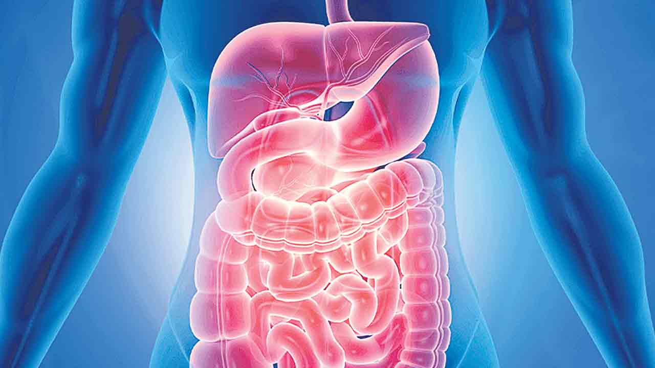 Digestive problems |  జీర్ణ సంబంధిత సమస్యలా.. తస్మాత్‌ జాగ్రత్త.. నిర్లక్ష్యం చేస్తే శాశ్వత సమస్యగా మిగిలిపోయే ప్రమాదం