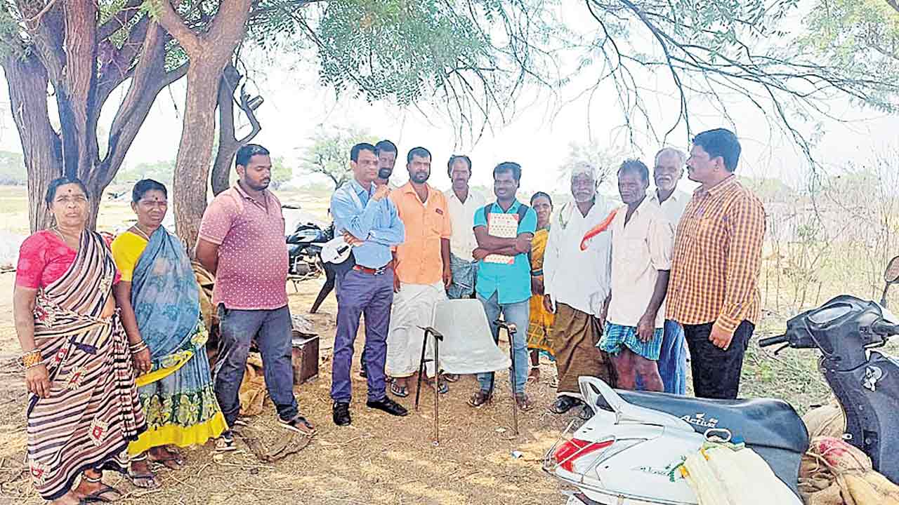 విత్తనాల ఎంపిక కీలకం