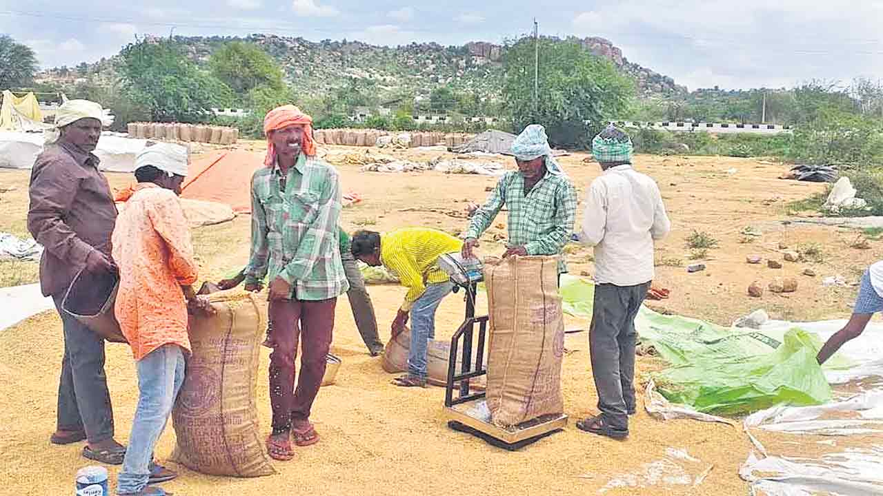 జోరుగా ధాన్యం..చకచకా కొనుగోళ్లు