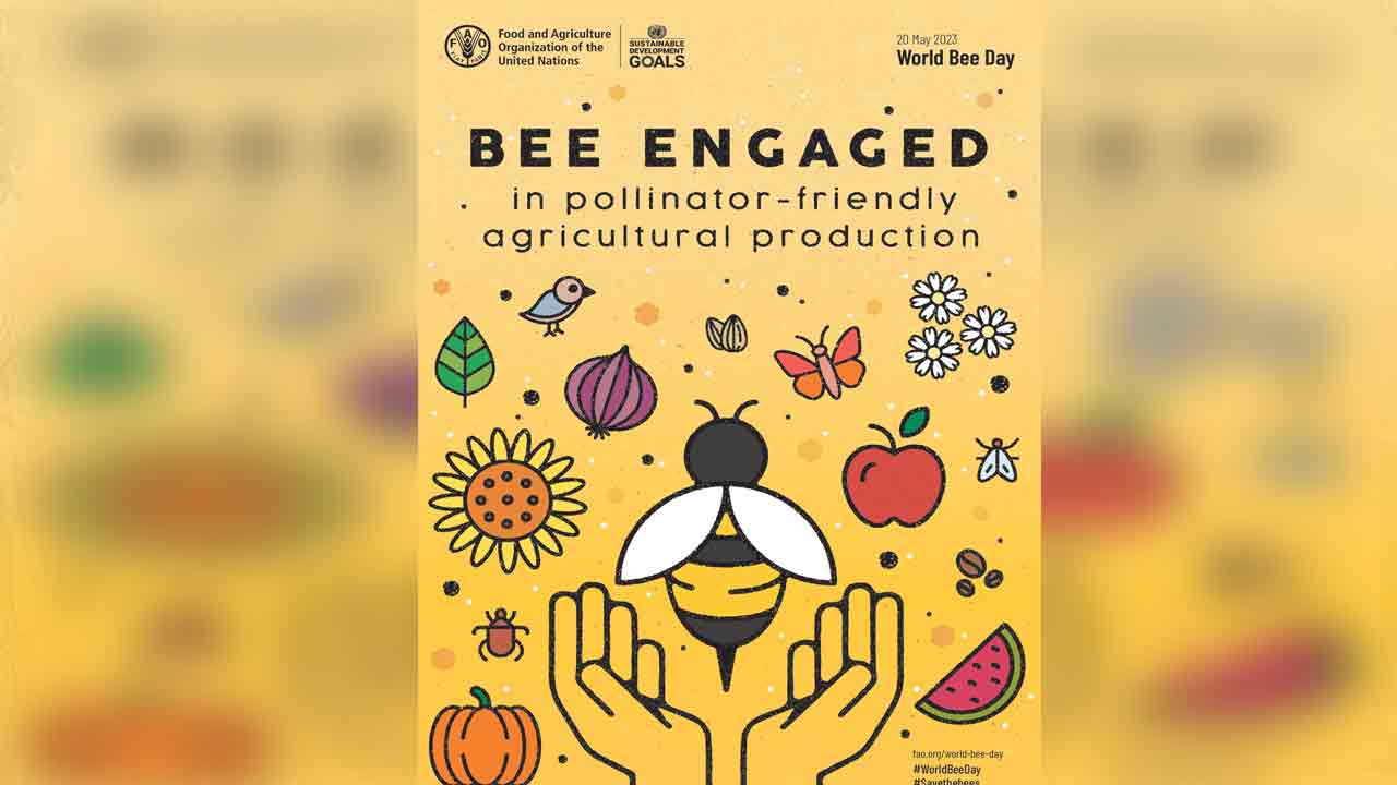 తేనెటీగలతోనే మానవ మనుగడ