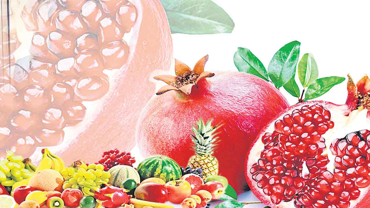 తాజా ఫ్రూట్స్‌తోనే వేసవిలో ఆరోగ్యం..