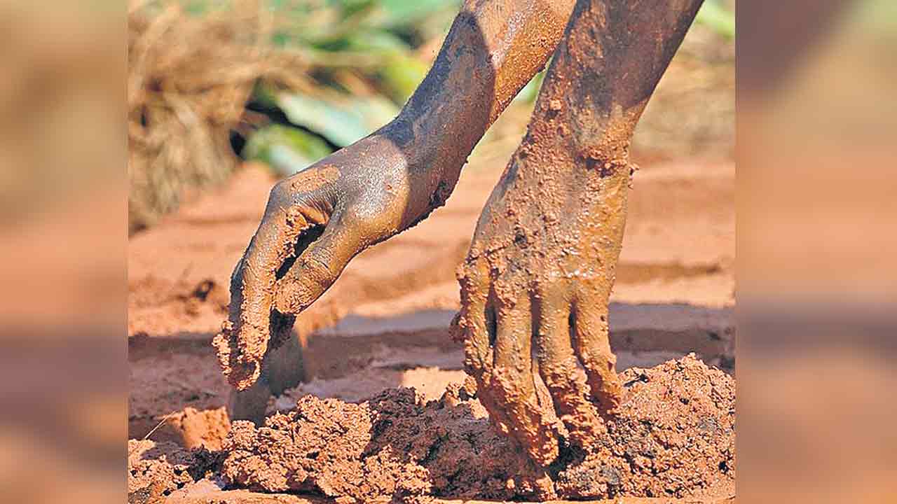 మట్టి చిగుళ్ళ స్వప్నం