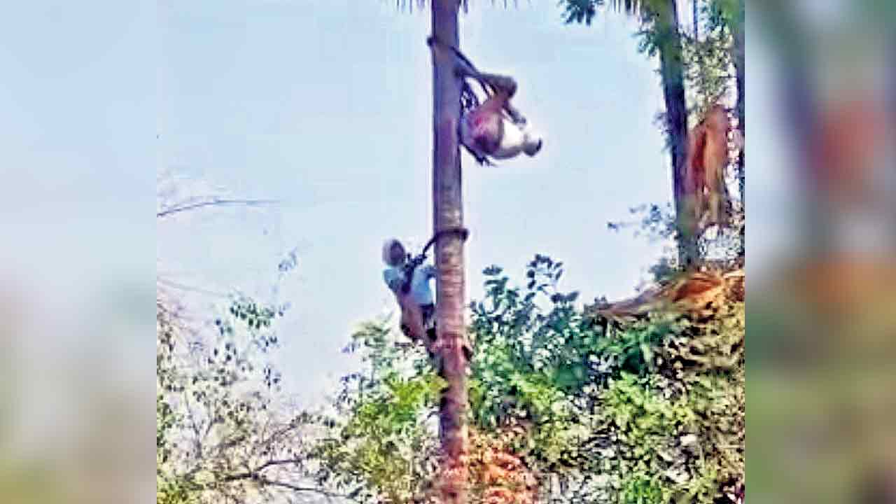 మోకు జారి చెట్టుపైనే వేలాడిన కార్మికుడు