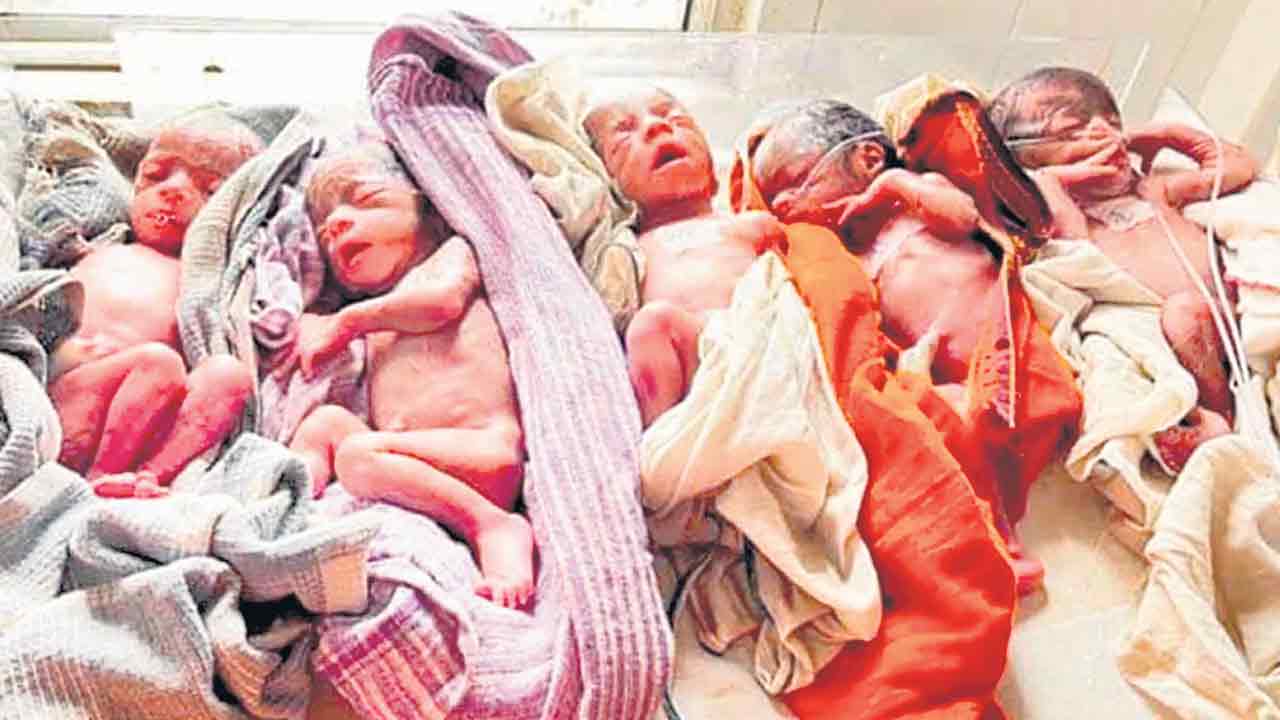 ఒకే కాన్పులో ఐదుగురు శిశువులు