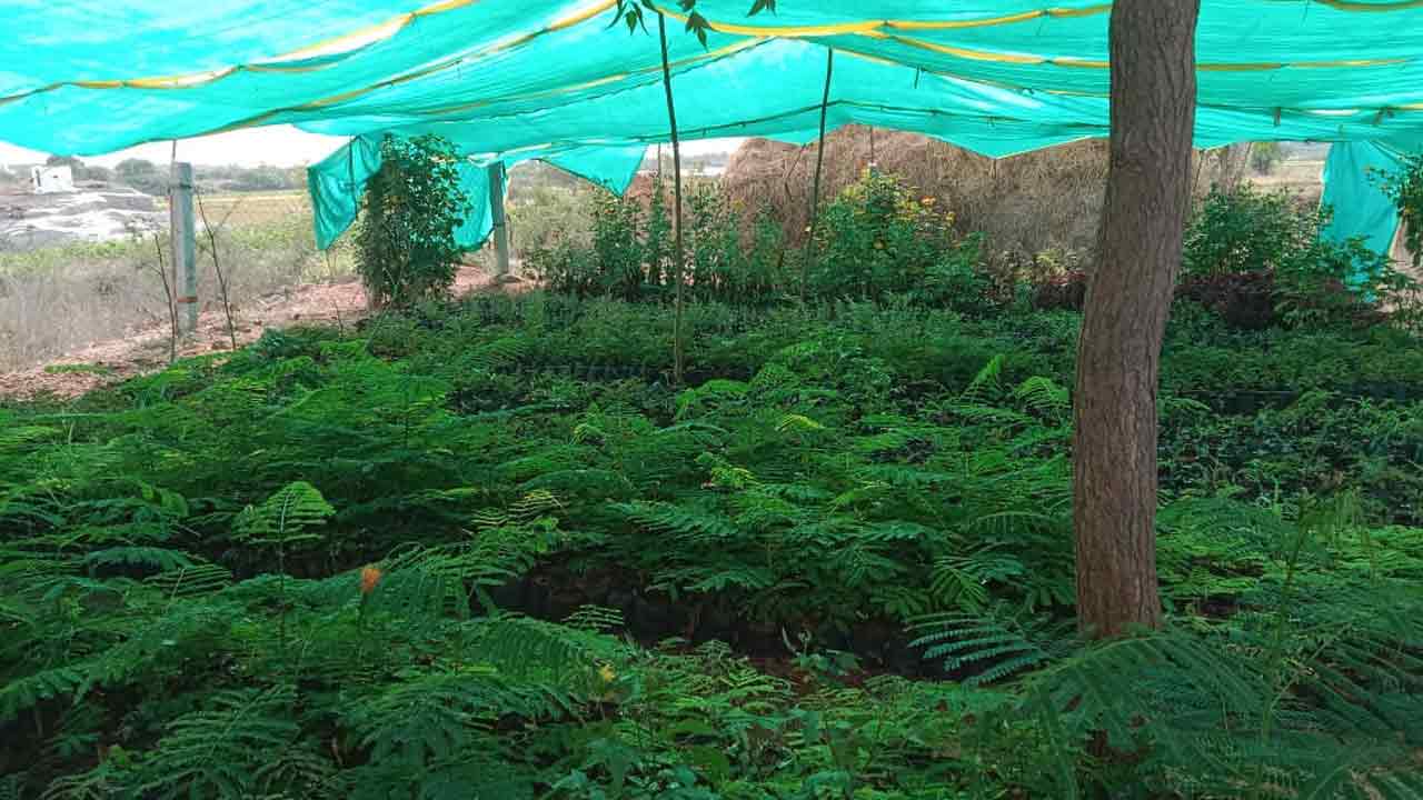 పంచాయతీల్లో వేసవి ప్రణాళికలు