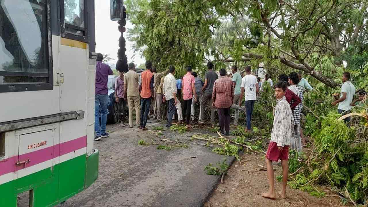 గాలివాన బీభత్సం