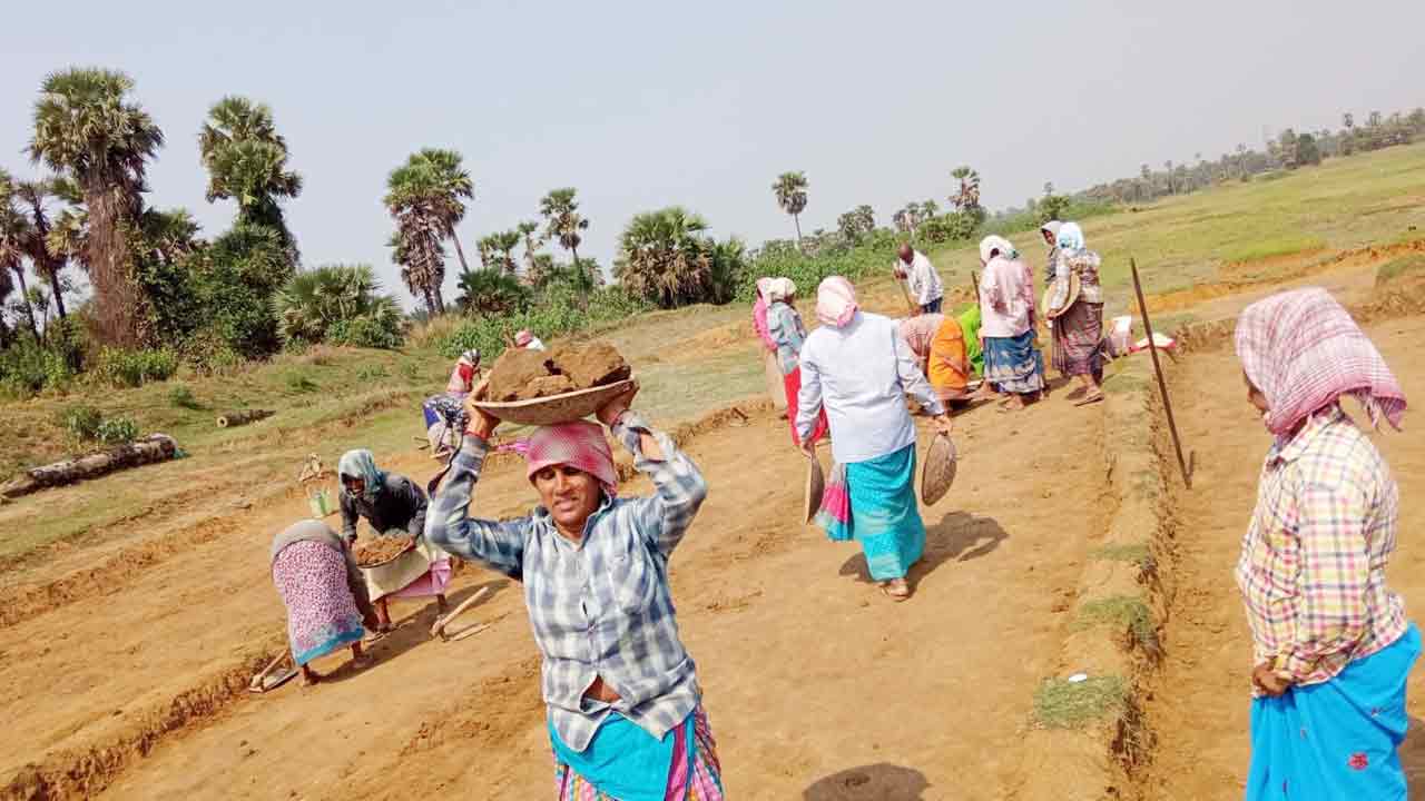 ఉపాధి దగా