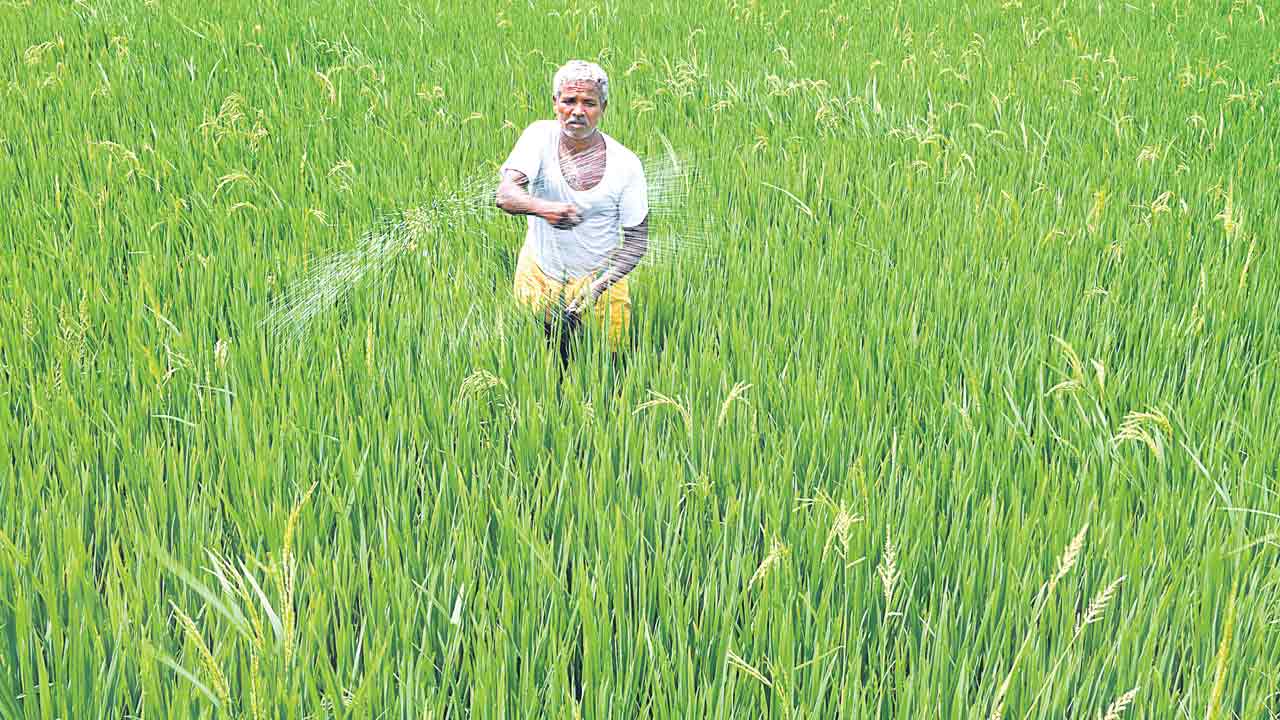 సాధించిండు.. నిలవెట్టిండు