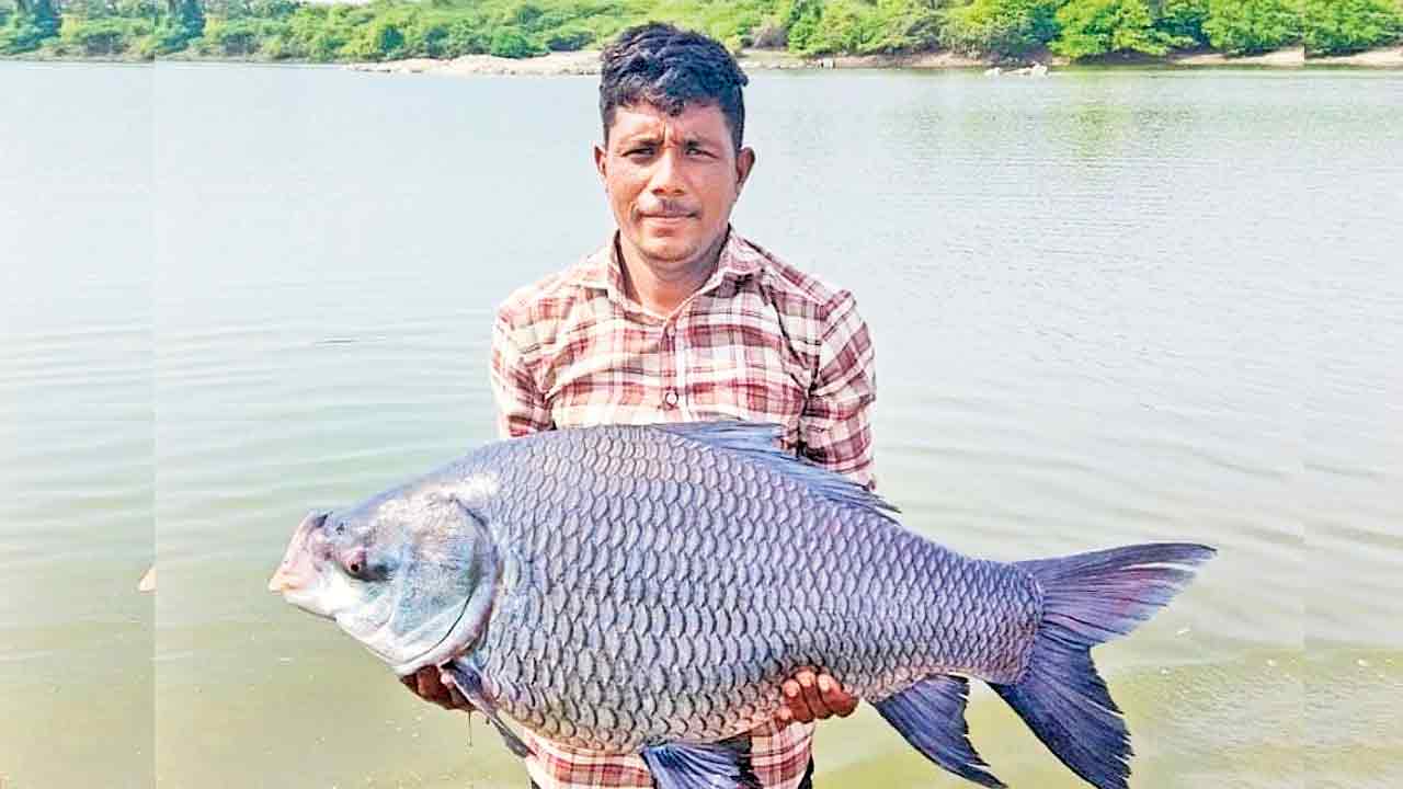 వలకు చిక్కిన 30 కిలోల చేప