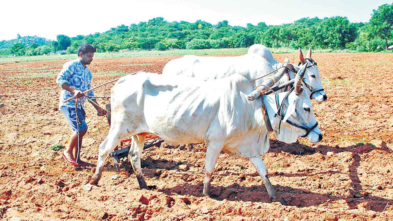 పోడు భూములకు రైతుబంధు