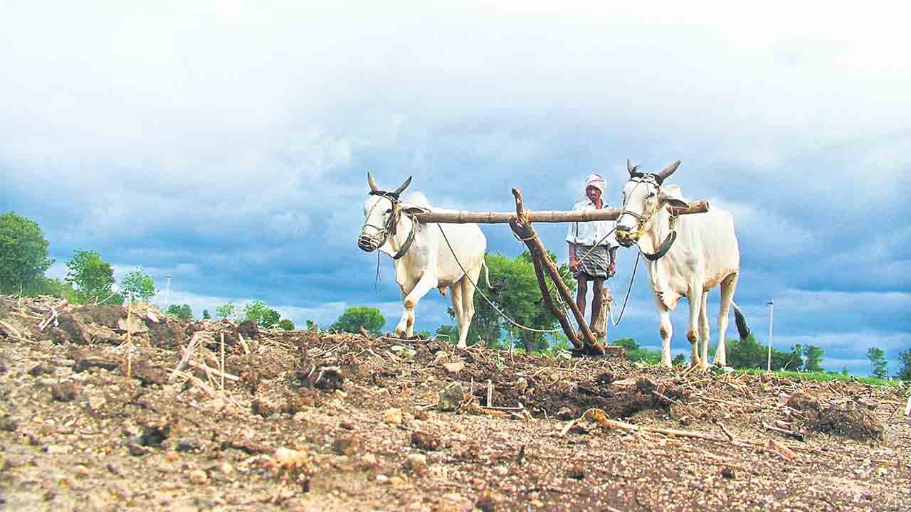 వానకాలం ప్ర‌ణాళిక సిద్ధం
