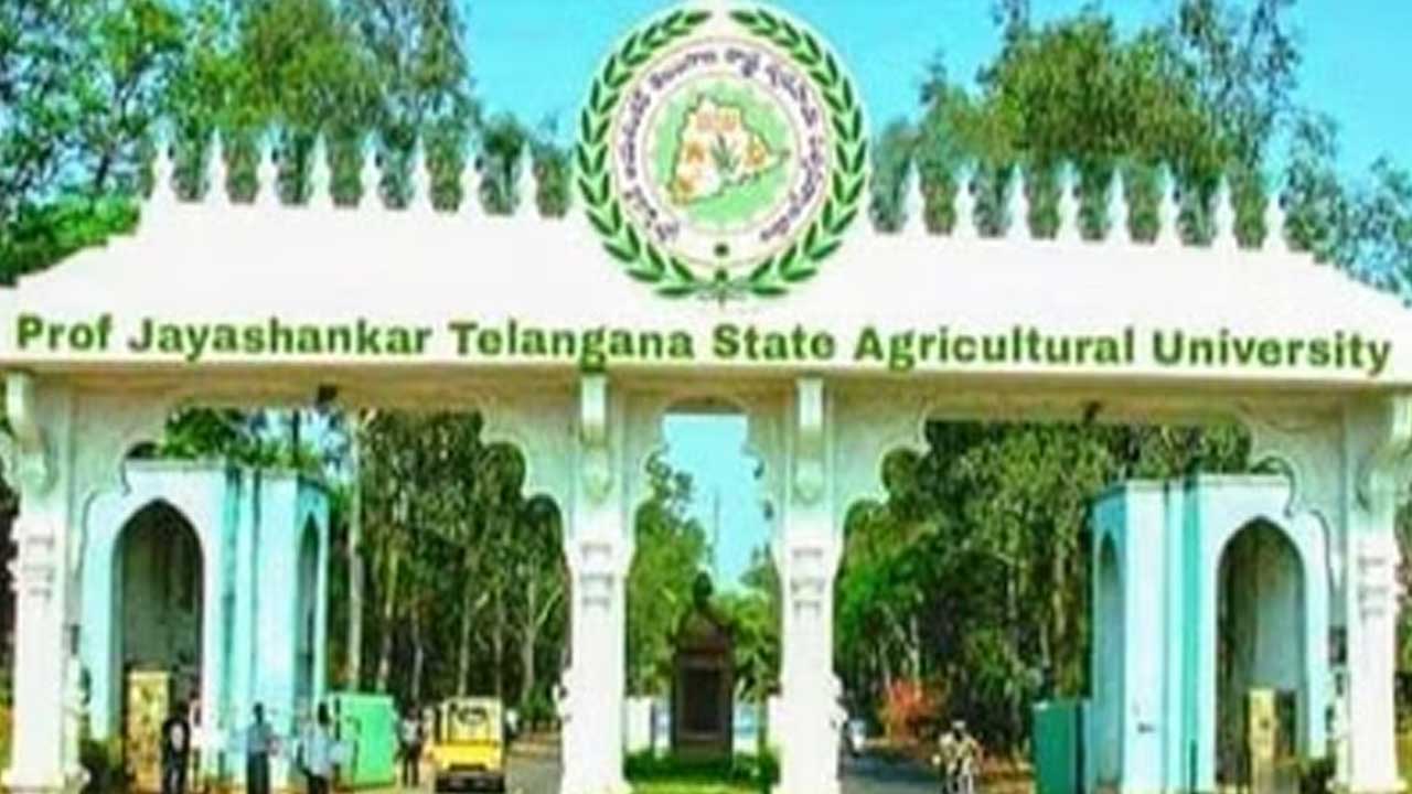 రేపు వ్యవసాయ వర్సిటీలో విత్తనమేళా