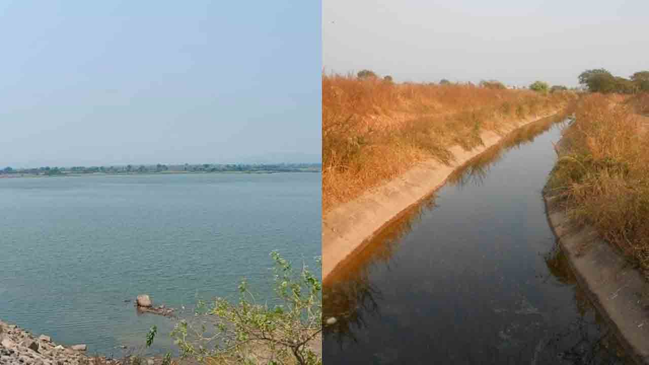 మత్తడి నిండుగా.. పంటలు పచ్చగా