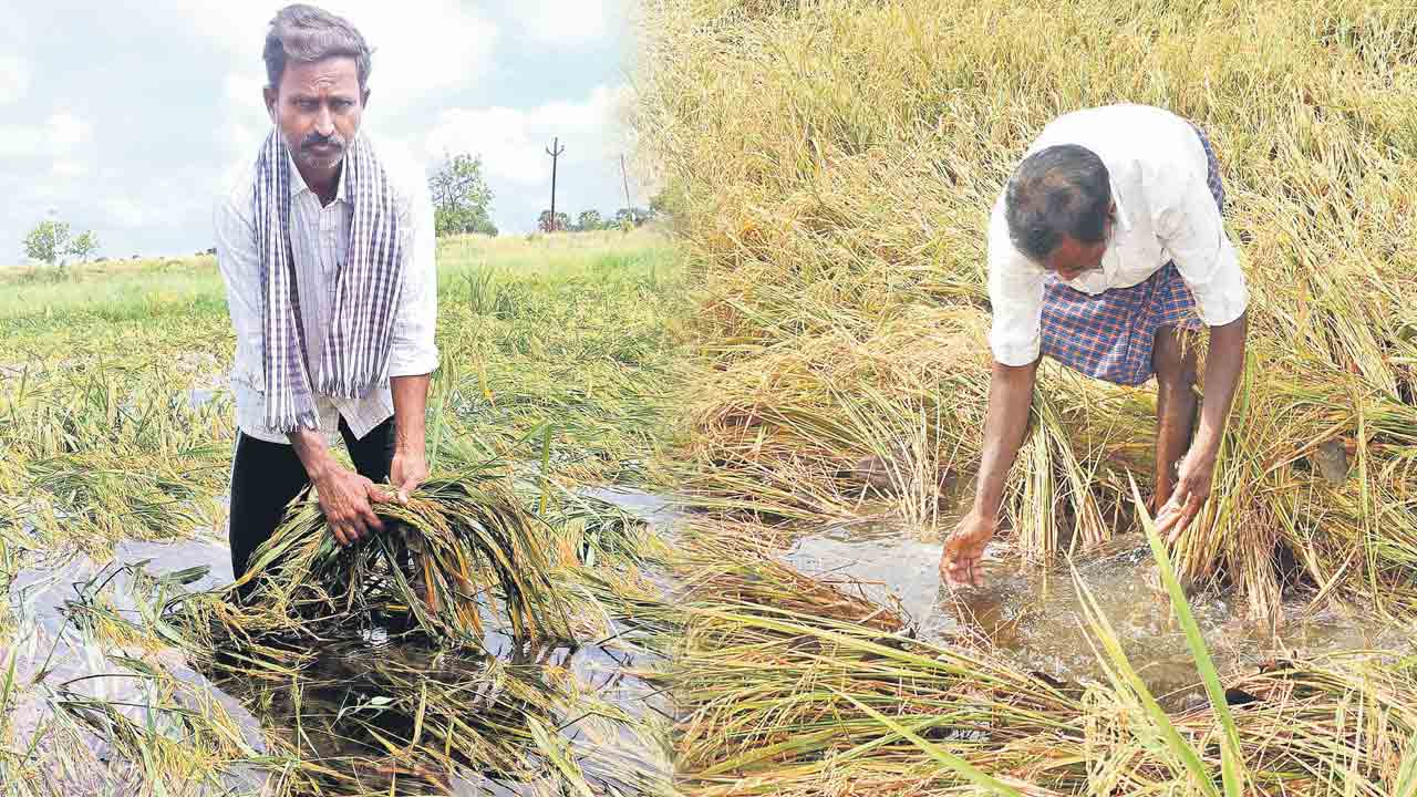 కల్లాల్లో కన్నీళ్లు