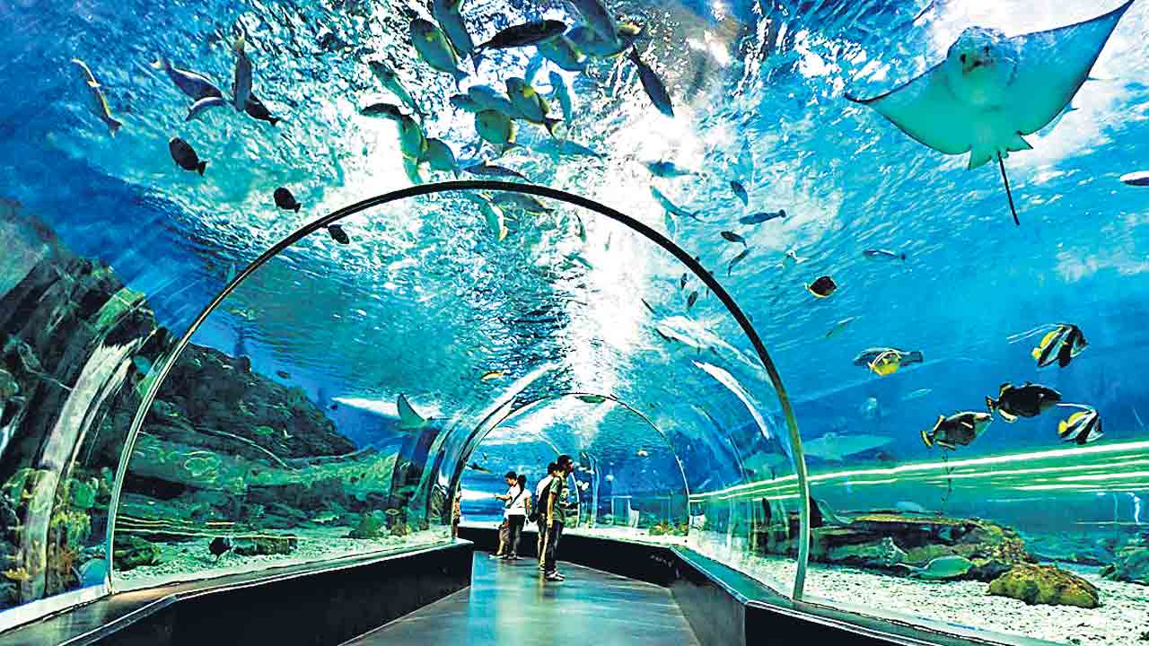 Eco hill park |  ఆక్వా పార్కు అంతర్జాతీయ లుక్కు.. నిర్మాణంలో పాలు పంచుకోనున్న ఇంటర్నేషనల్‌ సంస్థలు