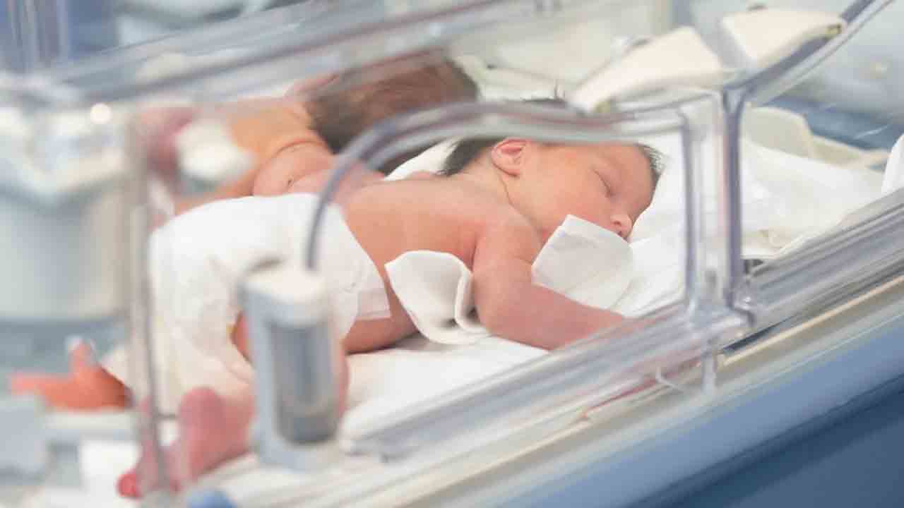 Japan |  ల్యాబ్‌ల్లో శిశువుల తయారీ.. 2028 నాటికి లక్ష్యంగా పెట్టుకొన్న జపాన్‌ శాస్త్రవేత్తలు