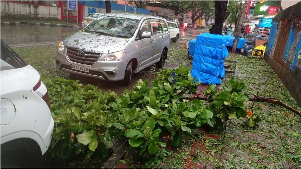 Banglore Rains 01