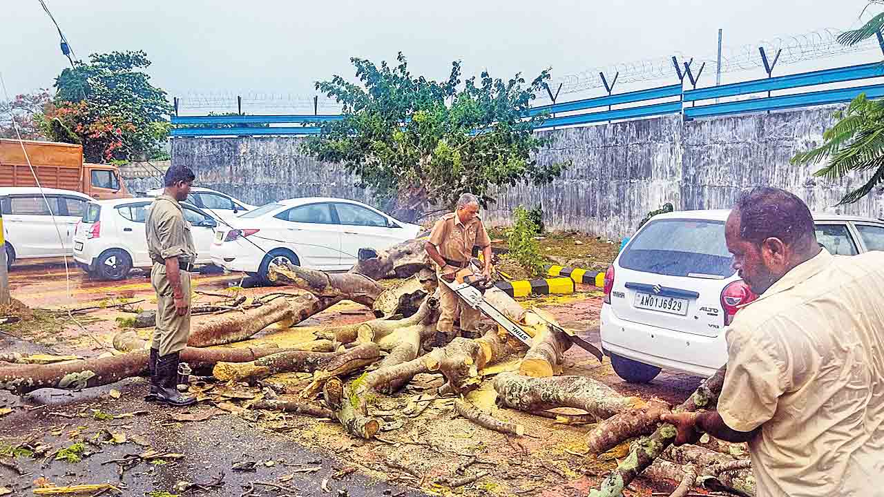 Mokha cyclone |   తీవ్ర తుఫాన్‌గా మారుతున్న మోఖా