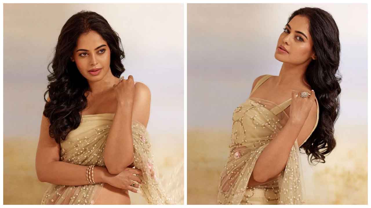 Bindu Madhavi | చీరకట్టులో మురిపిస్తున్న బిందు మాధవి..