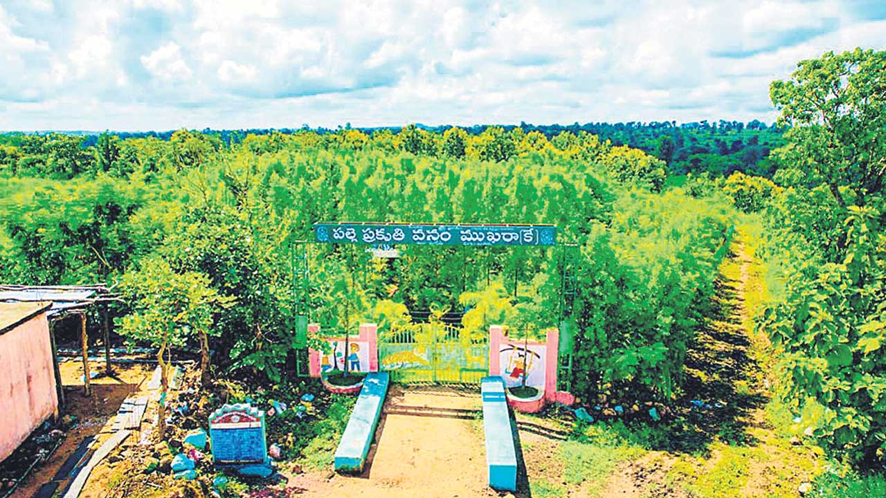 Palle Prakruthi vanam |  పల్లెప్రకృతి వనాలు దేశానికి ఆదర్శం.. ఇతర రాష్ర్టాల్లోనూ అమలు చేయాలని కేంద్రం సూచన