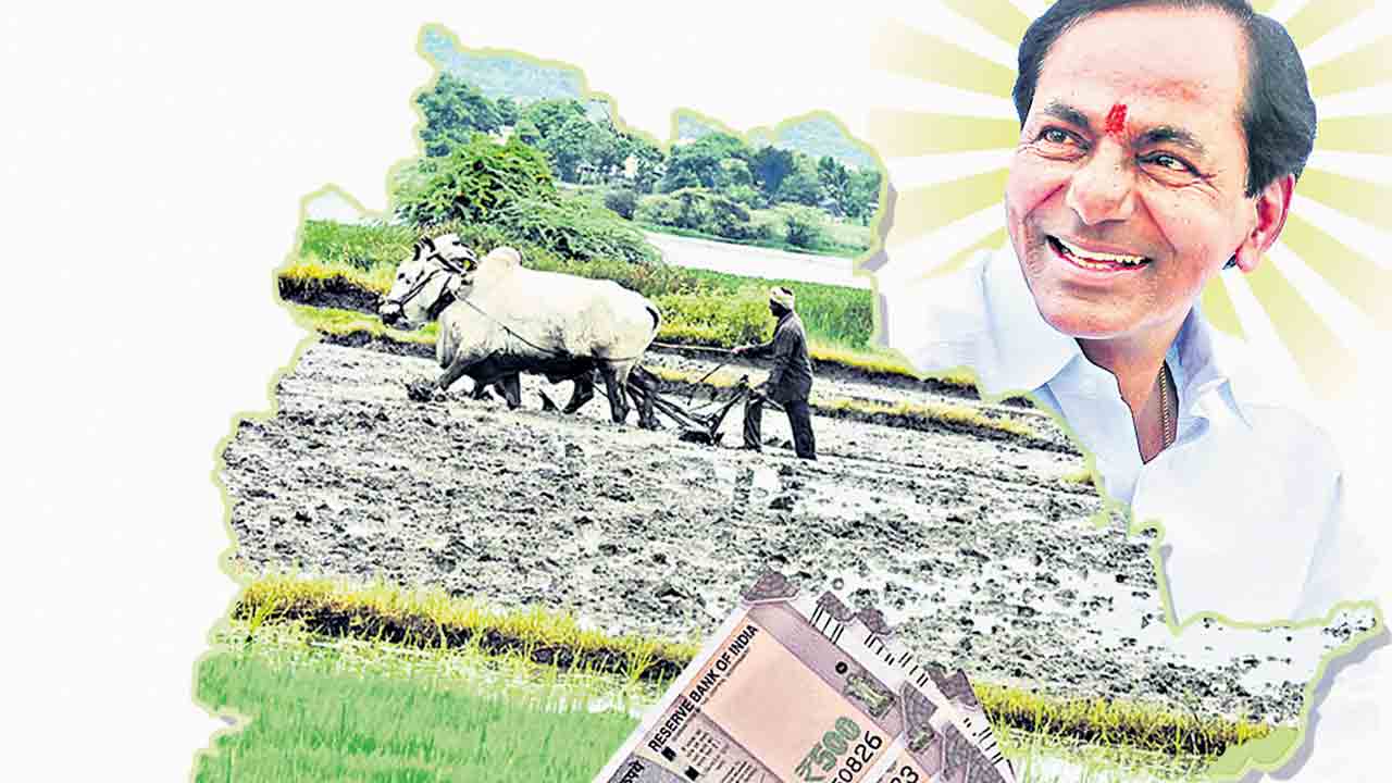 రైతు బంధు వై..