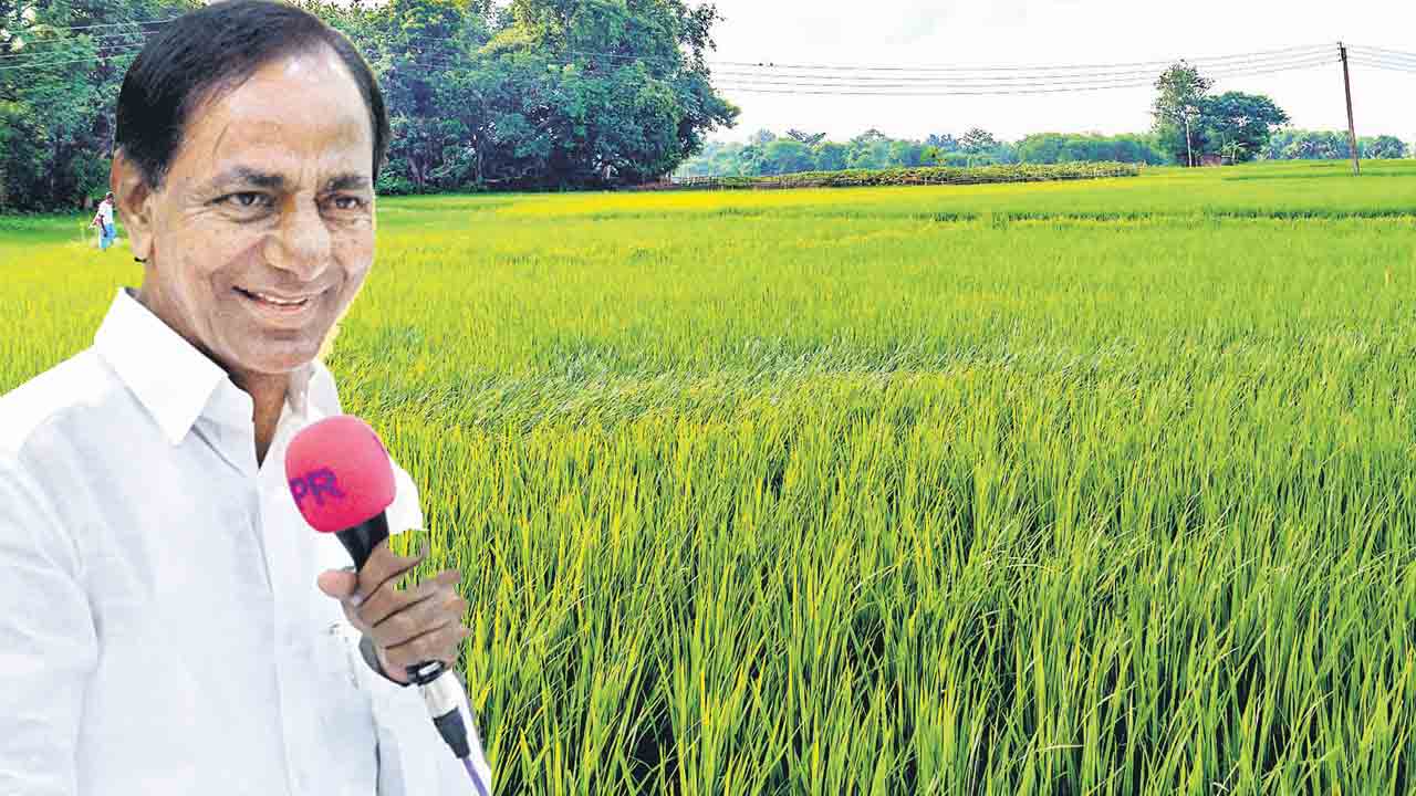 భూమి భద్రం