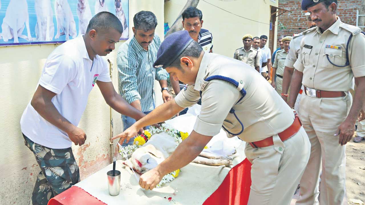 పేలుడు పదార్థాలు కనిపెట్టిన పూనం ఇకలేదు