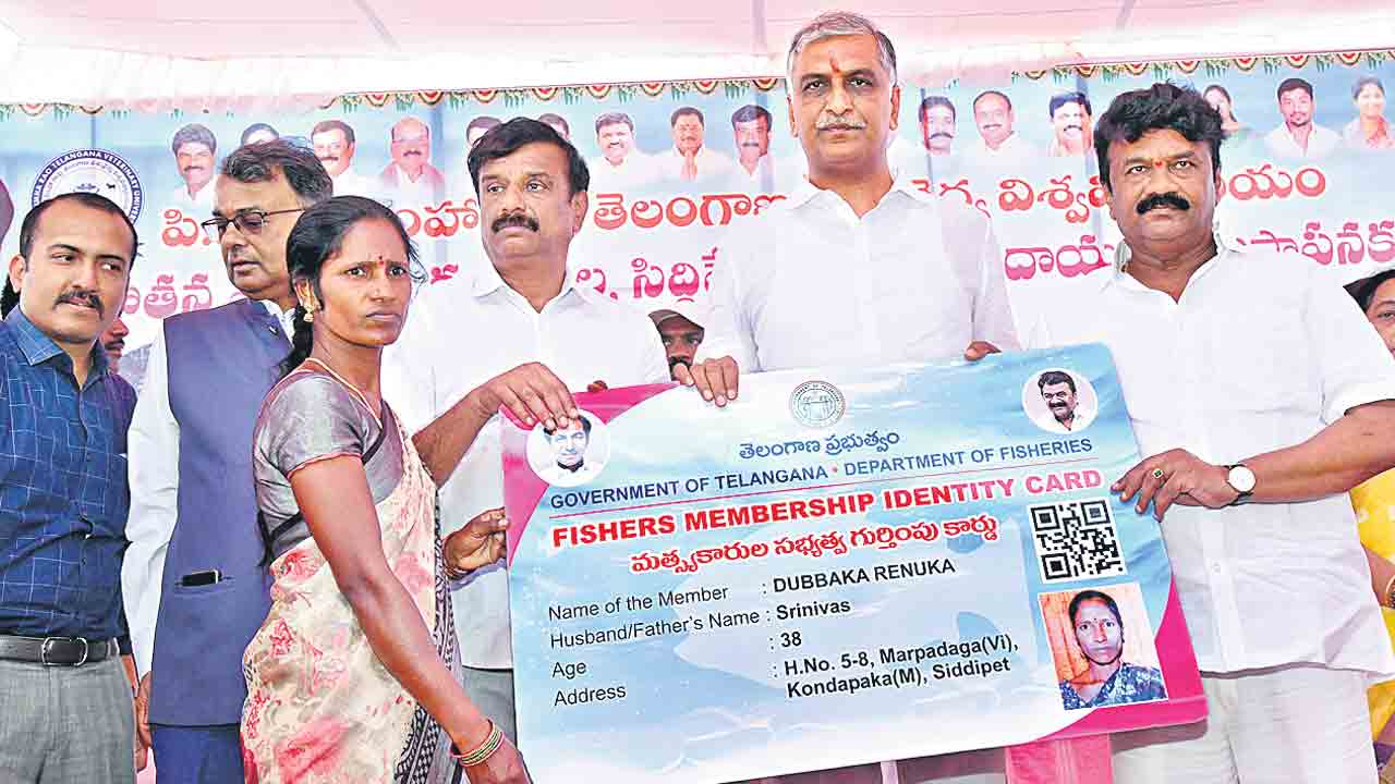 నెలాఖరులో రెండో విడత గొర్రెల పంపిణీ