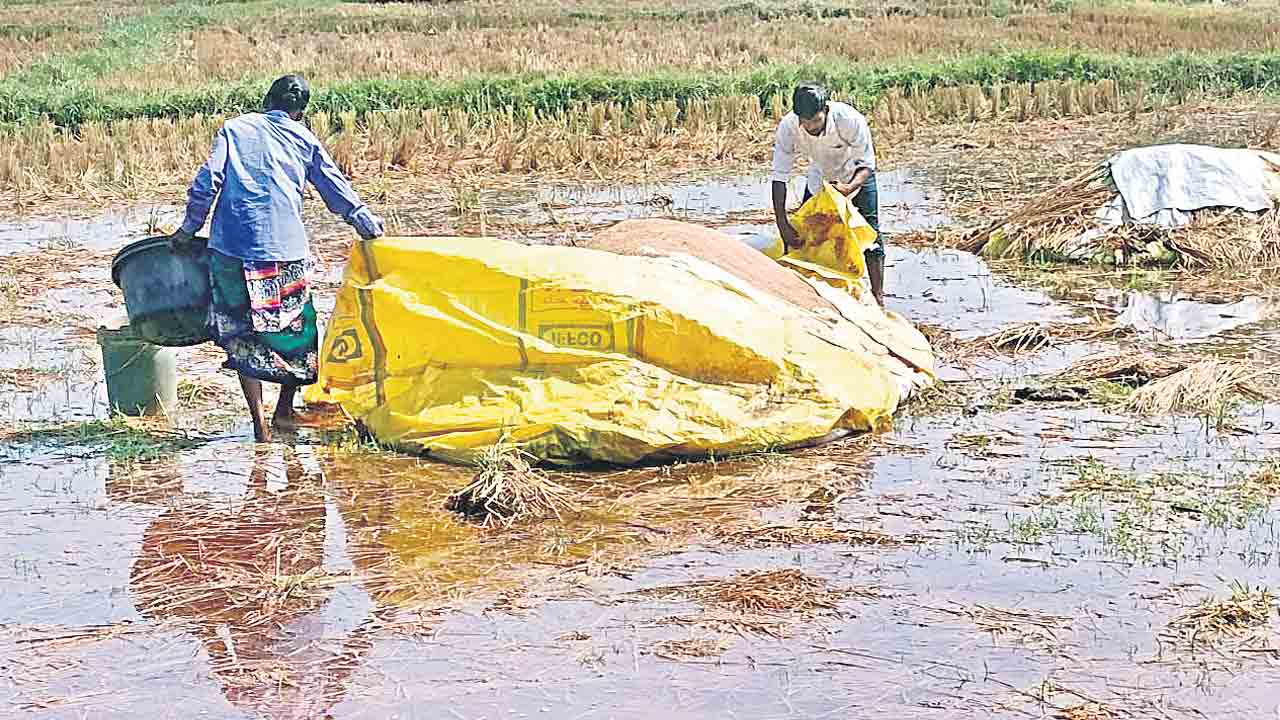 వీడని వాన.. అన్నదాత ఆందోళన